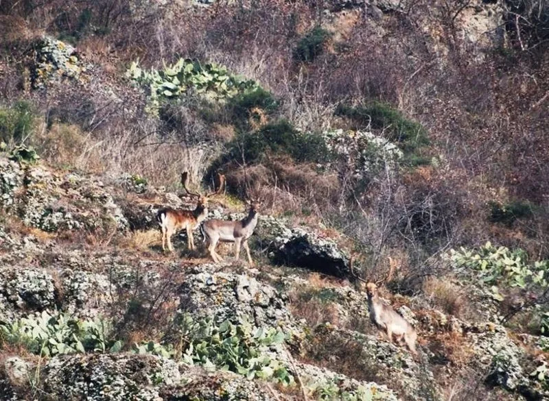 Water Museum of Venice: Ville e castelli sospesi tra acque e Colli Euganei - Cya On The Road