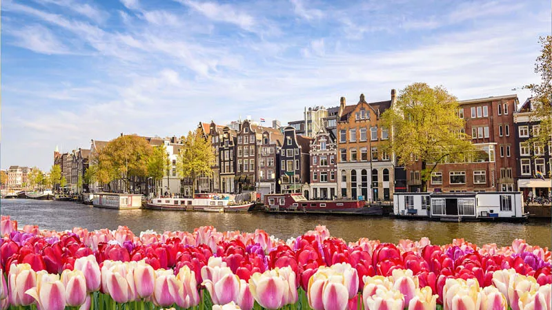 Amsterdam - Cya On The Road