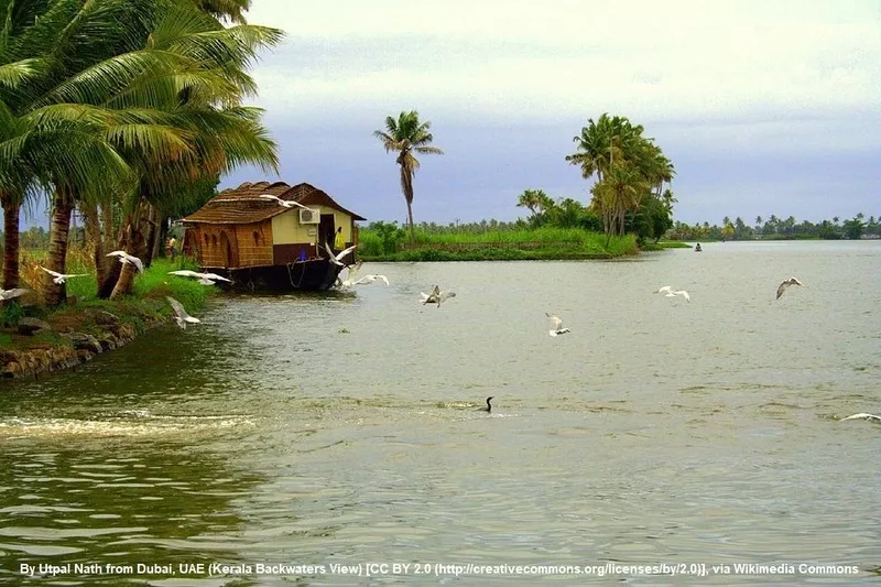 Kottayam - Kerala - The land of letters, legends, latex & lakes - Cya On The Road