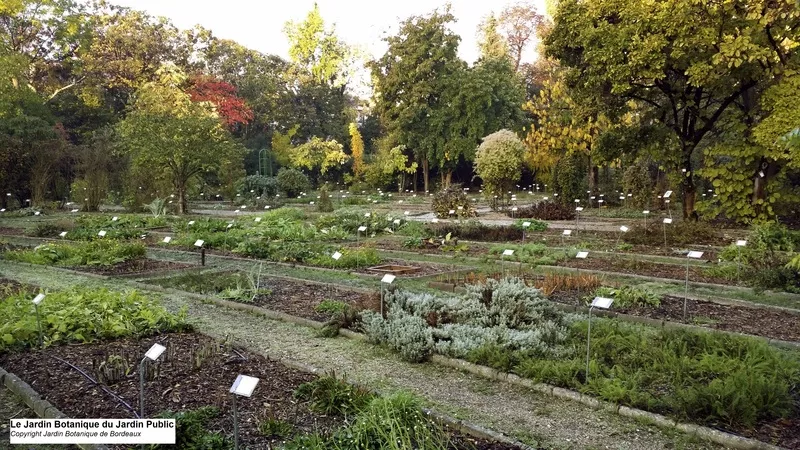 Bordeaux's Botanic Garden - Cya On The Road