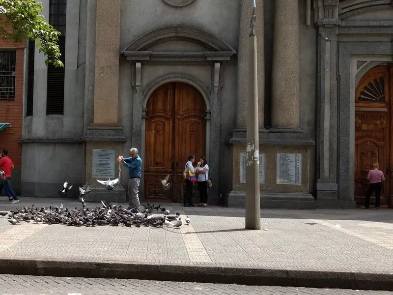 Pasiones entre rosales - Cya On The Road