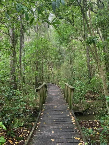 Smith's Bush nature trail - Cya On The Road