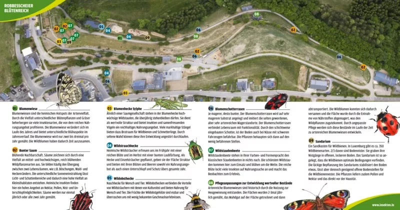 Robbesscheier: Riche en fleurs - Cya On The Road